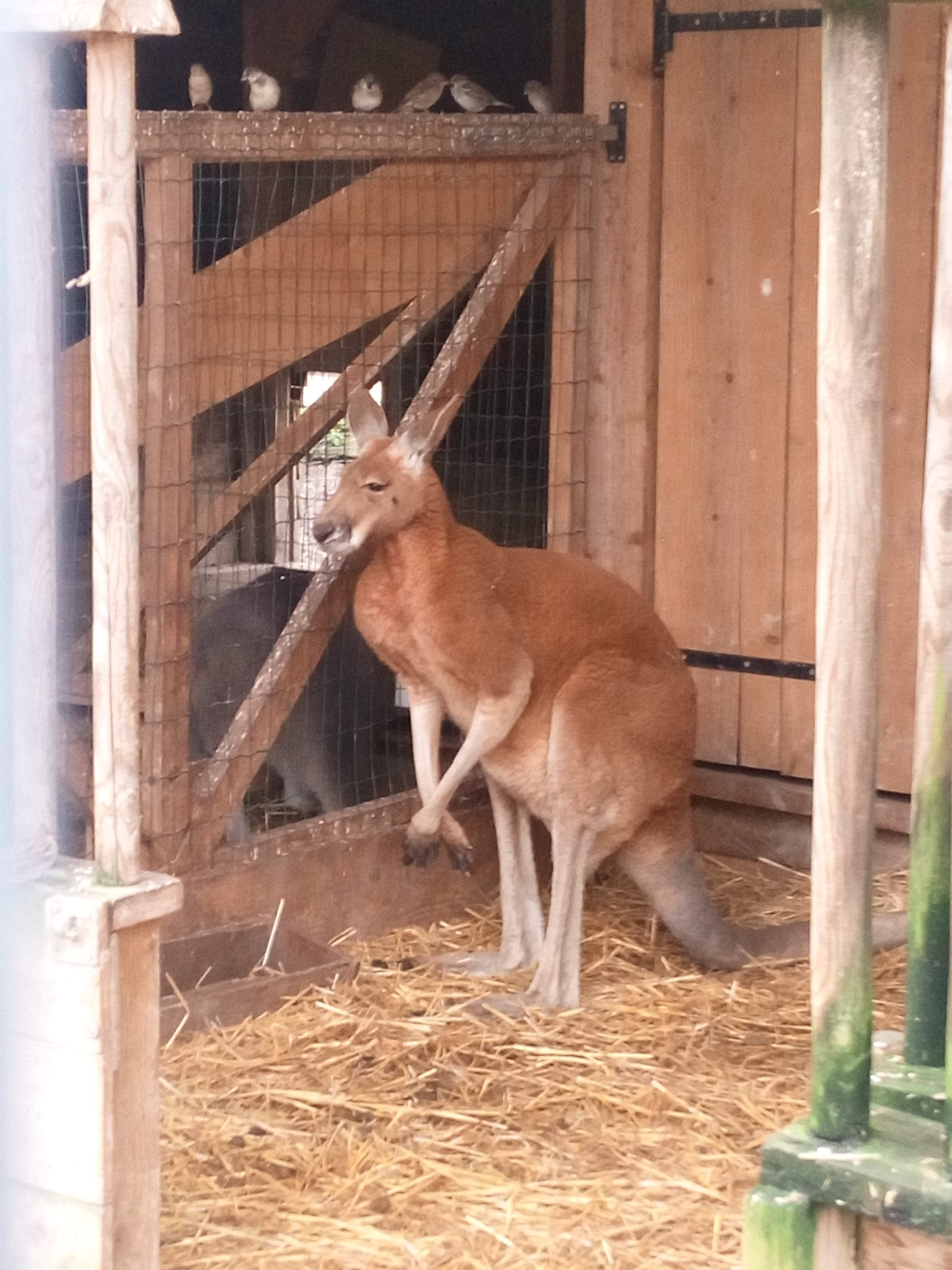 Photo n° 16 de l'avis de Abel.i fait le 20/08/2021 à 17:44