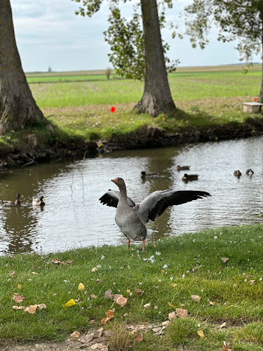 Etang d ' Epineuse à Épineuse