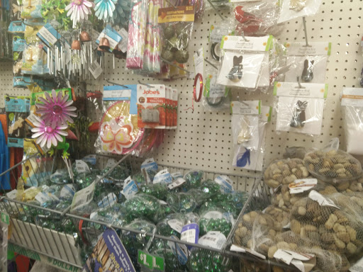 Dollar Store «Dollar Tree», reviews and photos, 5133 Eldorado Pkwy, Frisco, TX 75034, USA