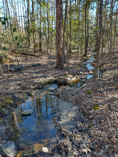 Park «Deep Run Park & Recreation Center», reviews and photos, 9900 Ridgefield Pkwy, Richmond, VA 23233, USA