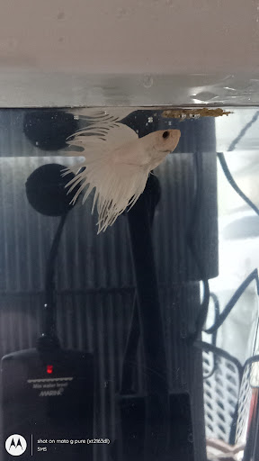 Pet Supply Store «Petco Animal Supplies», reviews and photos, 17132 W Colfax Ave, Golden, CO 80401, USA