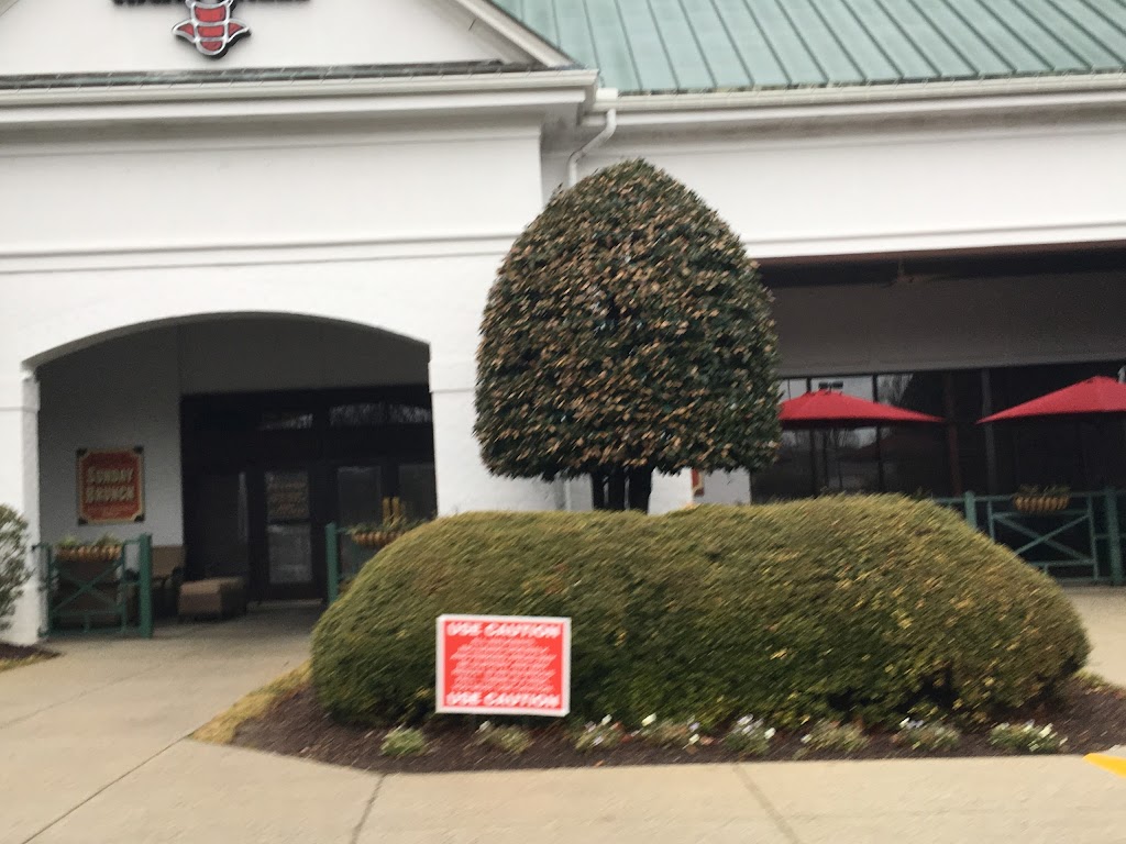 The Hard Shell Bellgrade 23113