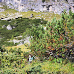 Photo n°7 de l'avis de cesare.r fait le 30/08/2021 à 08:14 sur le  Rifugio Bec de Roces à Livinallongo del Col di Lana