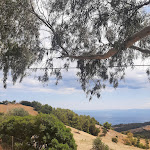 Photo n°1 de l'avis de anna.e fait le 24/08/2022 à 20:14 sur le  La favella Da Melina à Albidona