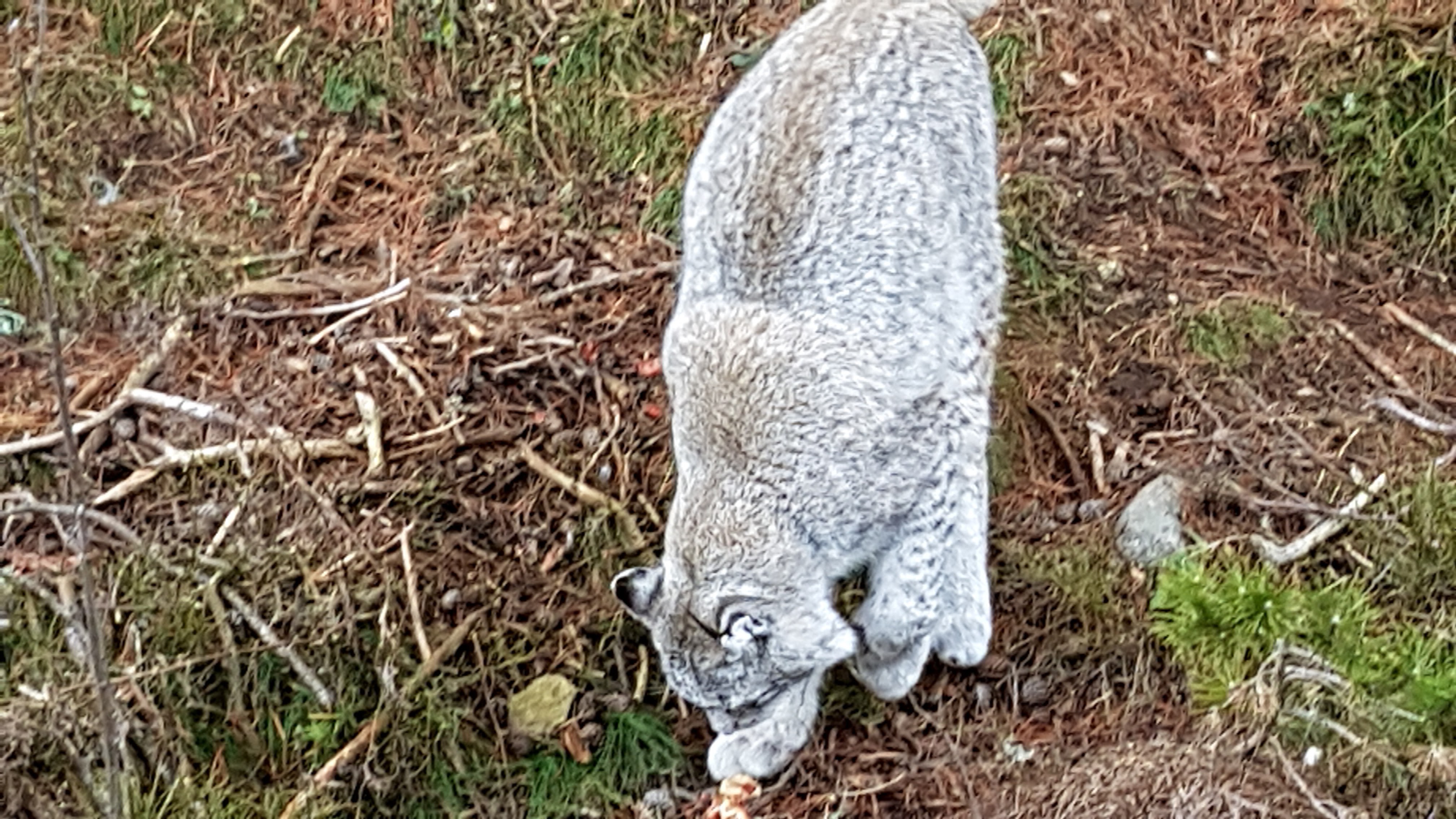 Photo n° 14 de l'avis de Nikolay.H fait le 26/12/2018 à 23:51