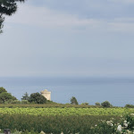 Photo n°2 de l'avis de Diego.c fait le 20/06/2021 à 13:28 sur le  Masseria Torre di Albidona à Piana della Torre