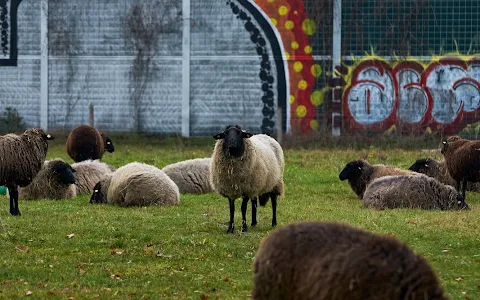 Landschaftspark Herzberge Eingang Herzbergstraße image