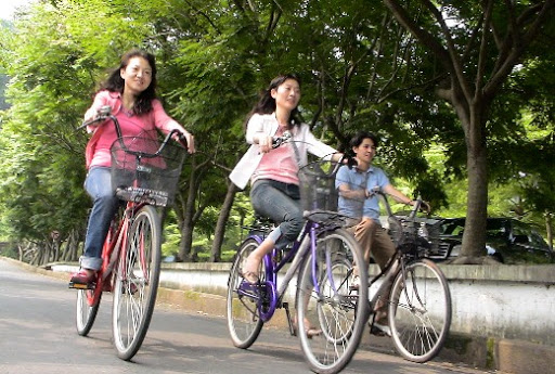 Toronto Island Bicycle Rental