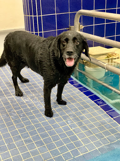 Pet Supply Store «Pet Depot Inc», reviews and photos, 2151 Greenspring Dr, Lutherville-Timonium, MD 21093, USA