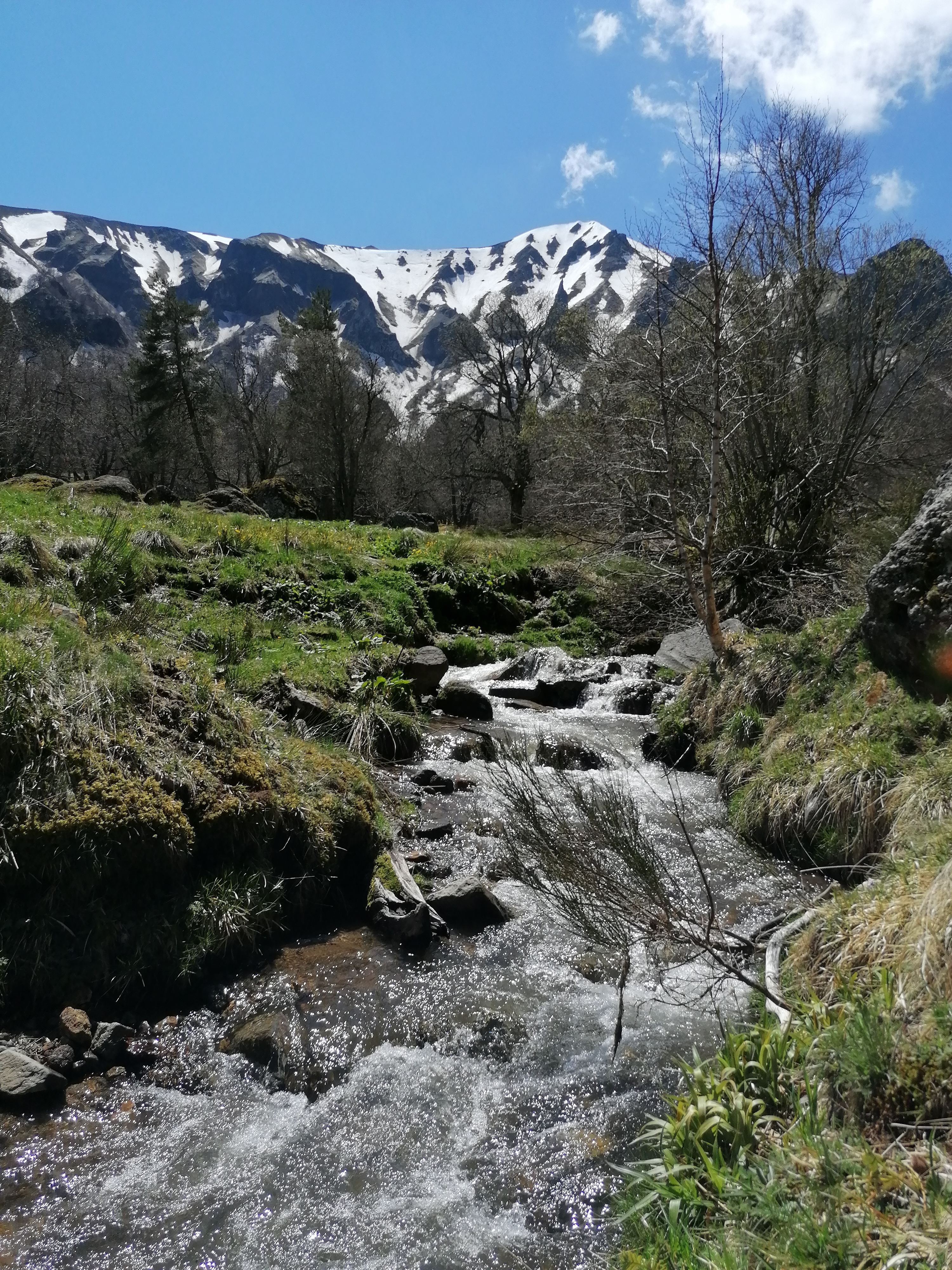 Photo n° 8 de l'avis de trucs.t fait le 12/05/2021 à 11:16