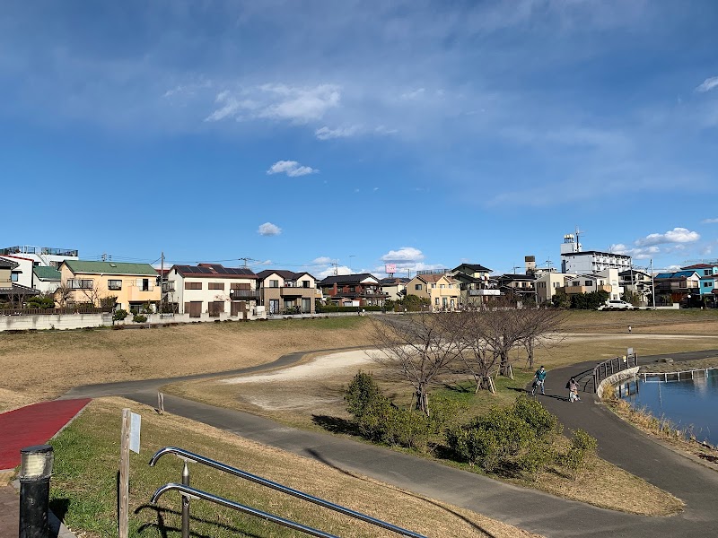 谷塚治水緑地