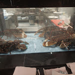 Photo n°3 de l'avis de Extreme.o fait le 26/07/2023 à 08:52 sur le  The Promenade Luxury Wellness Hotel à Riccione