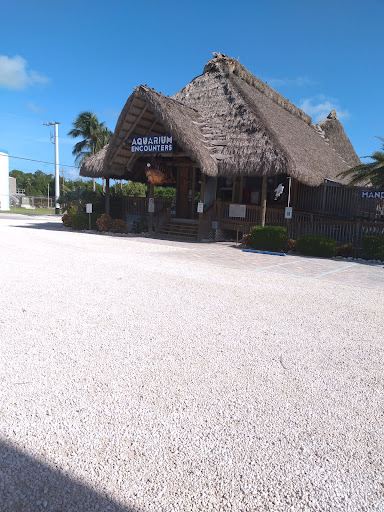 Aquarium «Florida Keys Aquarium Encounters», reviews and photos, 11710 Overseas Hwy, Marathon, FL 33050, USA