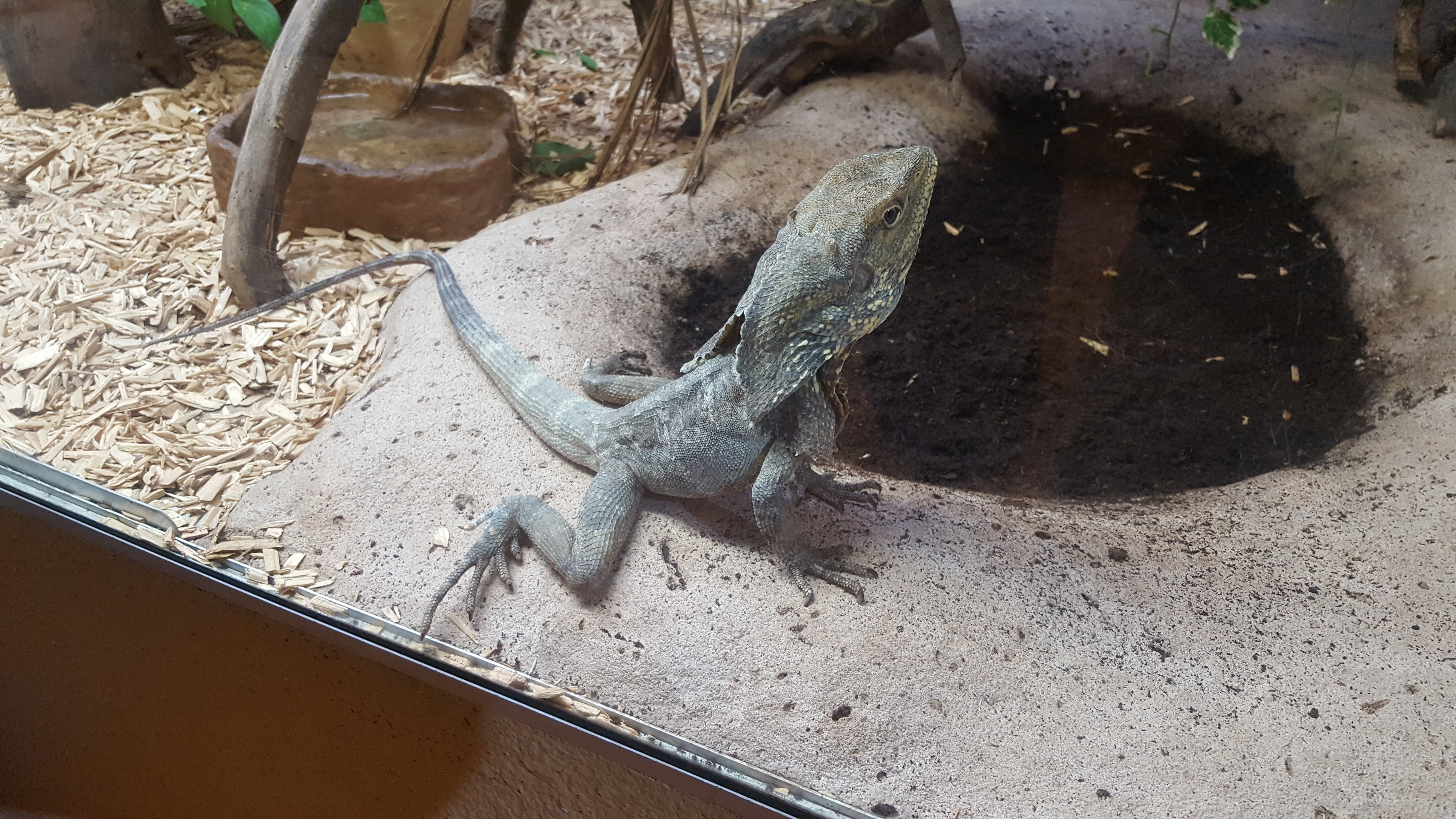 Photo n° 9 de l'avis de Thierry. fait le 23/07/2019 à 16:52