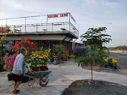 Hoa Cảnh Cà Phê