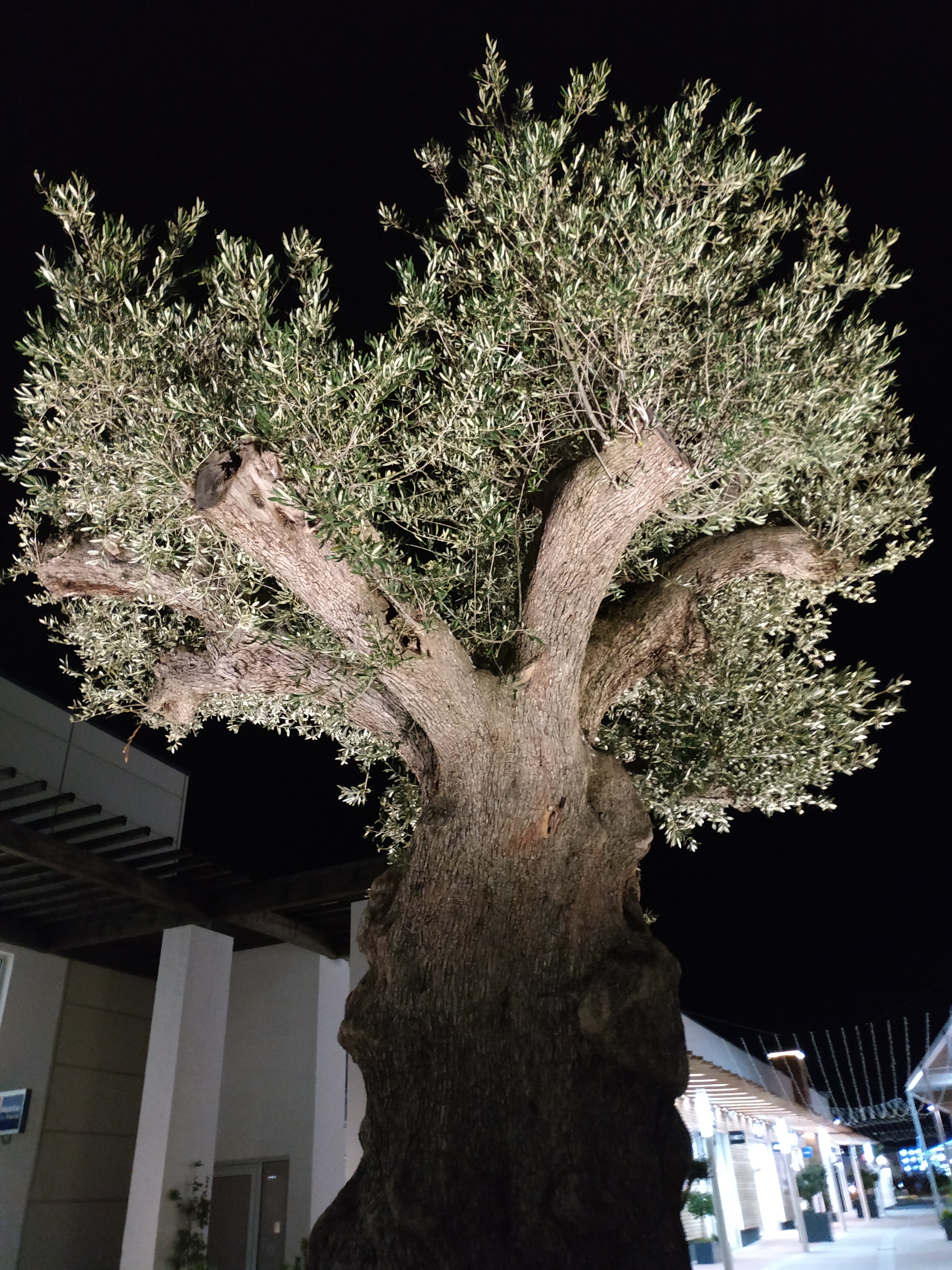 Photo n° 1 de l'avis de Corinne.i fait le 22/11/2019 à 23:59