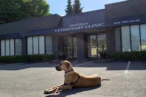 VCA Canada North Shore Veterinary Clinic image
