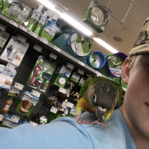 Pet Store «Petland», reviews and photos, 1600 Turner McCall Blvd, Rome, GA 30161, USA
