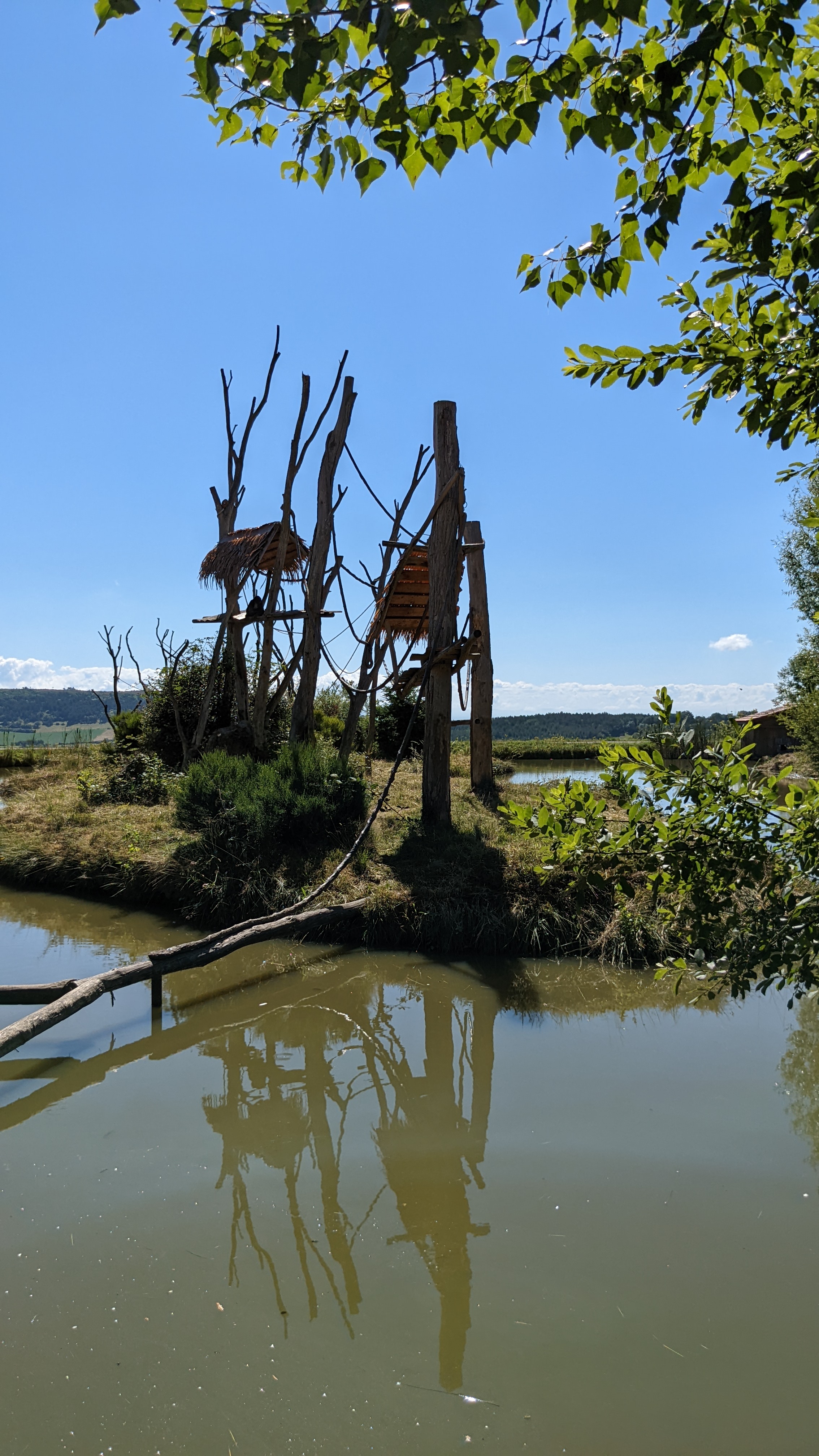 Photo n° 10 de l'avis de Patrice.a fait le 05/07/2022 à 18:27