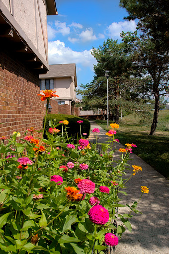 Carnaby Village Townhomes image 8