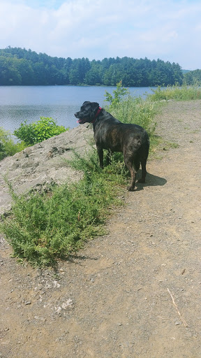 State Park «West Rock Ridge State Park», reviews and photos, 1134 Wintergreen Ave, New Haven, CT 06514, USA