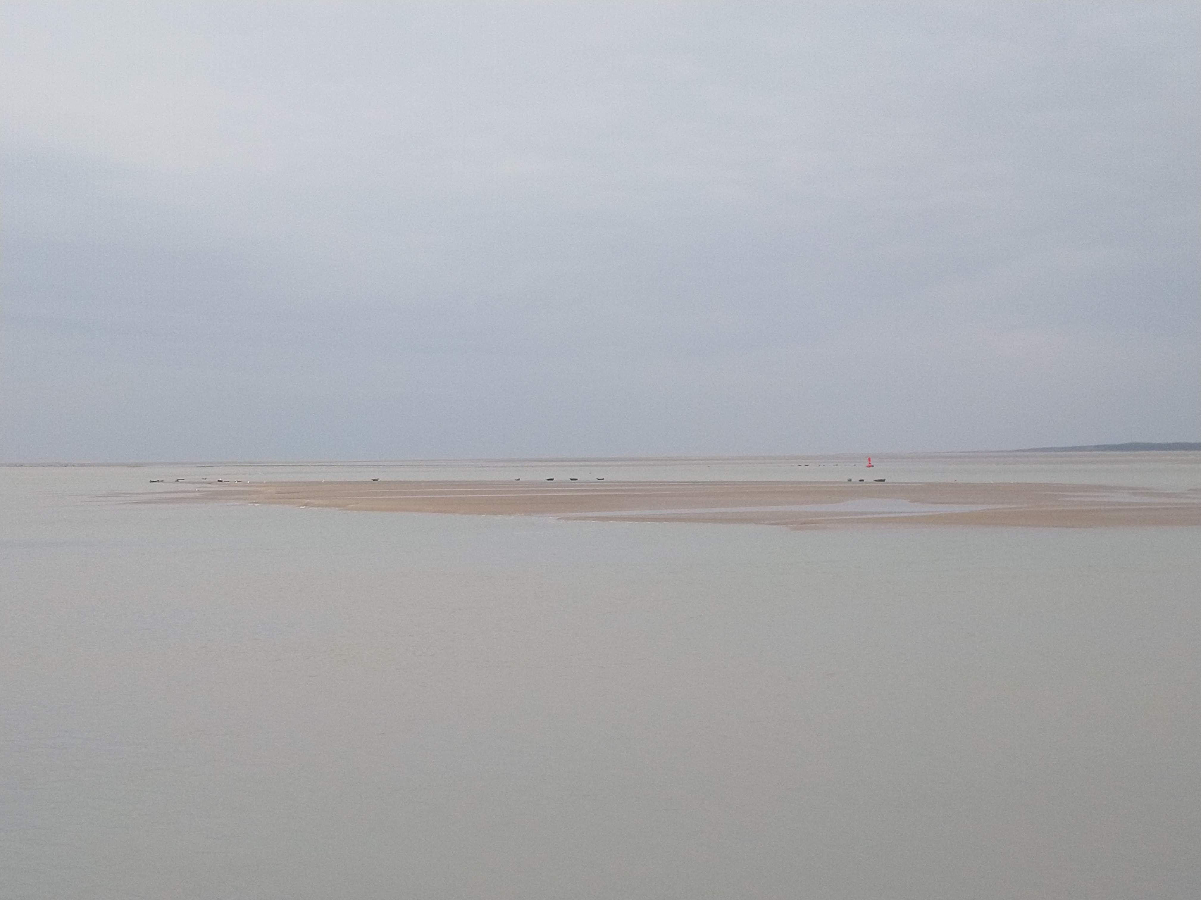 Photo n° 4 de l'avis de Bea.. fait le 25/02/2020 à 11:04