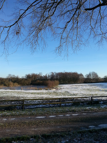 Opinii despre Skovgaardens ApS în Vojens - Bilforhandler