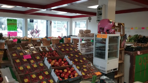 Grocery Store «Puzyckis market», reviews and photos, 15690-15698 Bedford Cir W, Clearwater, FL 33764, USA