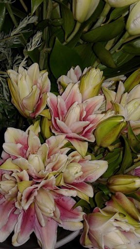 Florist «Old Louisville Flower Studio and Gifts and Events», reviews and photos, 1217 S 4th St, Louisville, KY 40203, USA