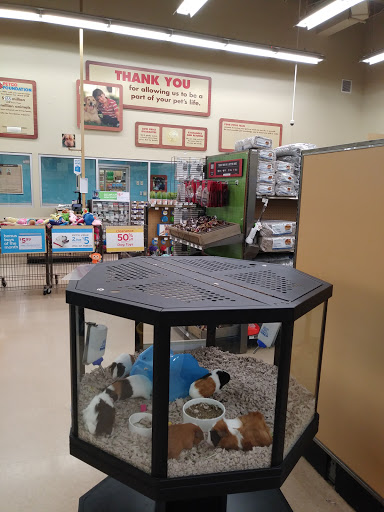 Pet Supply Store «Petco Animal Supplies», reviews and photos, 993 Branson Hills Pkwy, Branson, MO 65616, USA