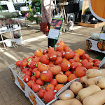 Photo n°16 de l'avis de Beatriz.a fait le 05/10/2018 à 19:41 sur le  Bambusgarten à Hamburg