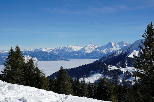 site_photo4