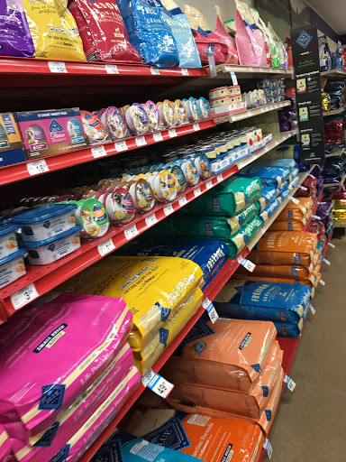 Pet Supply Store «Petco Animal Supplies», reviews and photos, 2775 El Camino Real, Santa Clara, CA 95051, USA