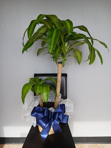 Florist «Treasures To Adore», reviews and photos, 1313 Carolyn Ct, Humble, TX 77338, USA