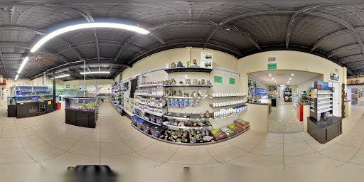 Pet Store «Fins and Skins», reviews and photos, 8451 49th St N, Pinellas Park, FL 33781, USA
