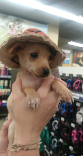 Pet Supply Store «Petco Animal Supplies», reviews and photos, 247 N Washington Hwy, Ashland, VA 23005, USA