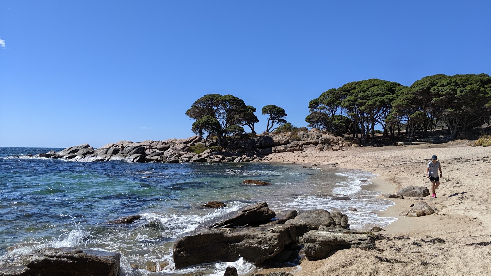 Shelley Cove Beach'in fotoğrafı düz ve uzun ile birlikte
