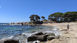 Shelley Cove Beach'in fotoğrafı düz ve uzun ile birlikte