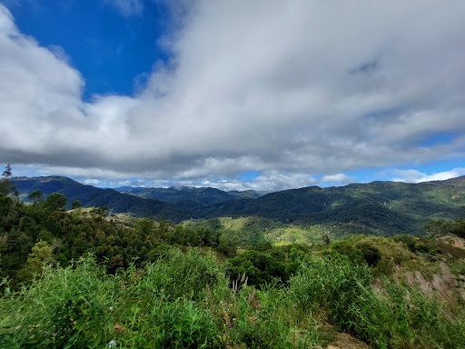 Top 20 cửa hàng mậu dịch Huyện Đăk Glei Kon Tum 2022