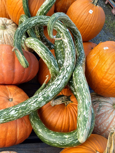 Produce Market «The Bigsby Market», reviews and photos, 1418 Dryden Rd, Freeville, NY 13068, USA