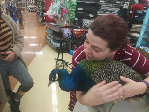 Pet Supply Store «Petco Animal Supplies», reviews and photos, 3637 2700 W, West Valley City, UT 84119, USA