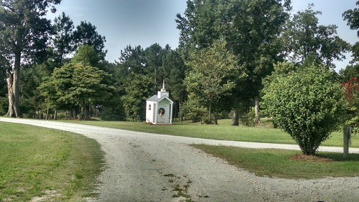 Vineyard «Lu Mil Vineyard», reviews and photos, 438 Suggs-Taylor Rd, Elizabethtown, NC 28337, USA