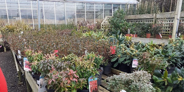 Forest View Nursery
