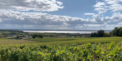 Chateau Maine Gazin à Plassac