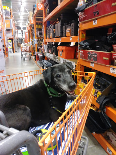 Home Improvement Store «The Home Depot», reviews and photos, 702 65th St, Galveston, TX 77551, USA