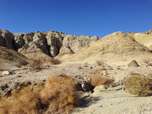 Wedding Venue «Desert Adventures Metate Ranch», reviews and photos, 38635 Monroe St, Indio, CA 92203, USA