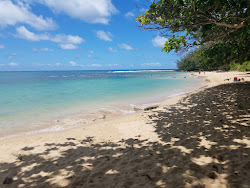 Photo de Moloa'a Beach avec un niveau de propreté de très propre