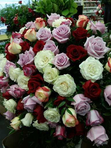 Florist «Exotic Flowers», reviews and photos, 609 American Legion Hwy, Boston, MA 02131, USA