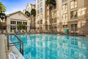 Homewood Suites by Hilton Orlando-International Drive/Convention Center image