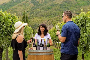 Appellation Wine Tours, Queenstown, New Zealand image
